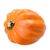 Acorn Squash