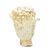 Organic Enoki Mushroom