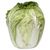 Napa Cabbage