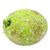 Breadfruit