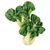 Baby Bok Choy
