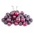 Organic Cherries