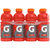 Gatorade Fruit Punch Thirst Quencher
