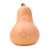 Butternut Squash