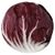 Radicchio