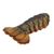 Maine Lobster Tails