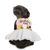 Bond & Co Large Birthday Dress Pet Costume