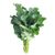 Chinese Broccoli (Gai Lan)
