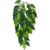 Exo Terra Silk Ficus Jungle Plant