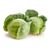Cabbage