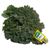 Kale