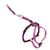 PetSafe Medium Dusty Rose Gentle Leader Come With Me Kitty Harness & Bungee Leash