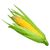 Yellow Sweet Corn Crate