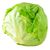 Iceberg Lettuce