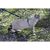 PetSafe Come with Me Medium Kitty Harness and Bungee Leash, Sparkle Blue