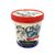 Chilly Cow Chocolate Chip Premium Ice Cream