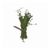 Thyme
