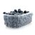 Organic Blueberries Package