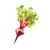 Organic Beet