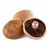 Portabello Mushroom