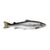 Fresh Salmon Portions Farm-raised, 6 oz.