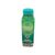 Temple Turmeric Organic Green Alkalizer Detox Beverage Sgl