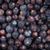 Organic Dried Juniper Berries