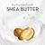 Olay Shea Butter In-Shower Body Lotion