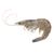 40 to 50 Count Head On White Shrimp