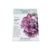 Botanical Interests Lettuce Seeds