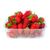 Driscoll's Organic Mini Strawberries