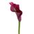 6" Calla Lilly