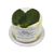 Salt Spring Island Cheese Soft Goat Cheese