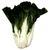 Bok Choy