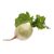 White Radish