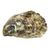 Medium Live Farm Raised Pacific Oysters