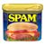 Spam Classic Canned Meat