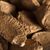 In Shell Brazil Nuts