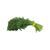 Organic Dill