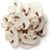 Sliced White Mushrooms
