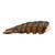 3-4 Pound CAN USA Wild Lobsters