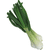 Vidalia Onion