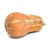 Organic Squash