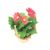 Bayview Flowers 6" Gerbera