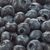 Blueberries