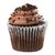 Chocolate Cupcakes