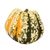 Carnival Squash