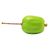 Kiwi Berry