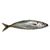 Whole Kosher Whitefish