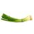 Green Onions (Scallions)